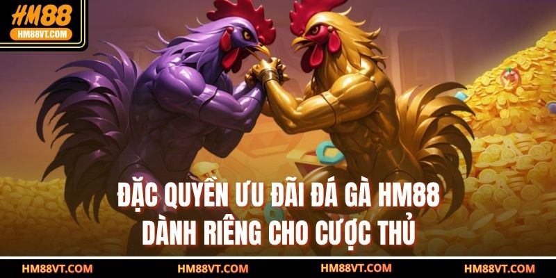 Đặc quyền ưu đãi đá gà HM88 dành riêng cho cược thủ