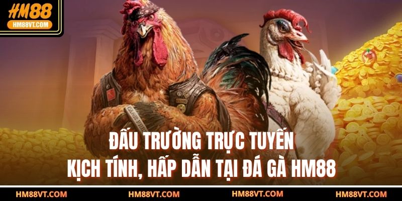 Đấu trường trực tuyến kịch tính, hấp dẫn tại đá gà HM88