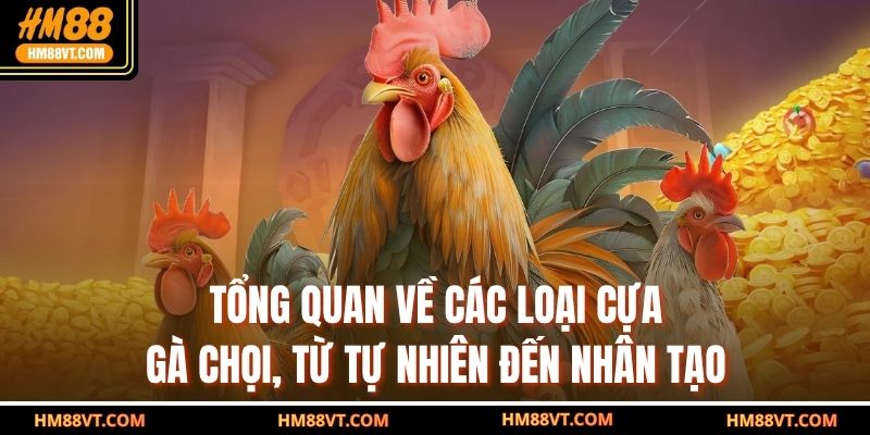Tổng quan về các loại cựa gà chọi, từ tự nhiên đến nhân tạo